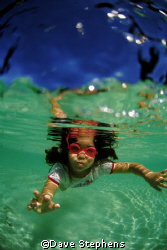 sosso the next generation diver enjoying the shallows at ... by Dave Stephens 